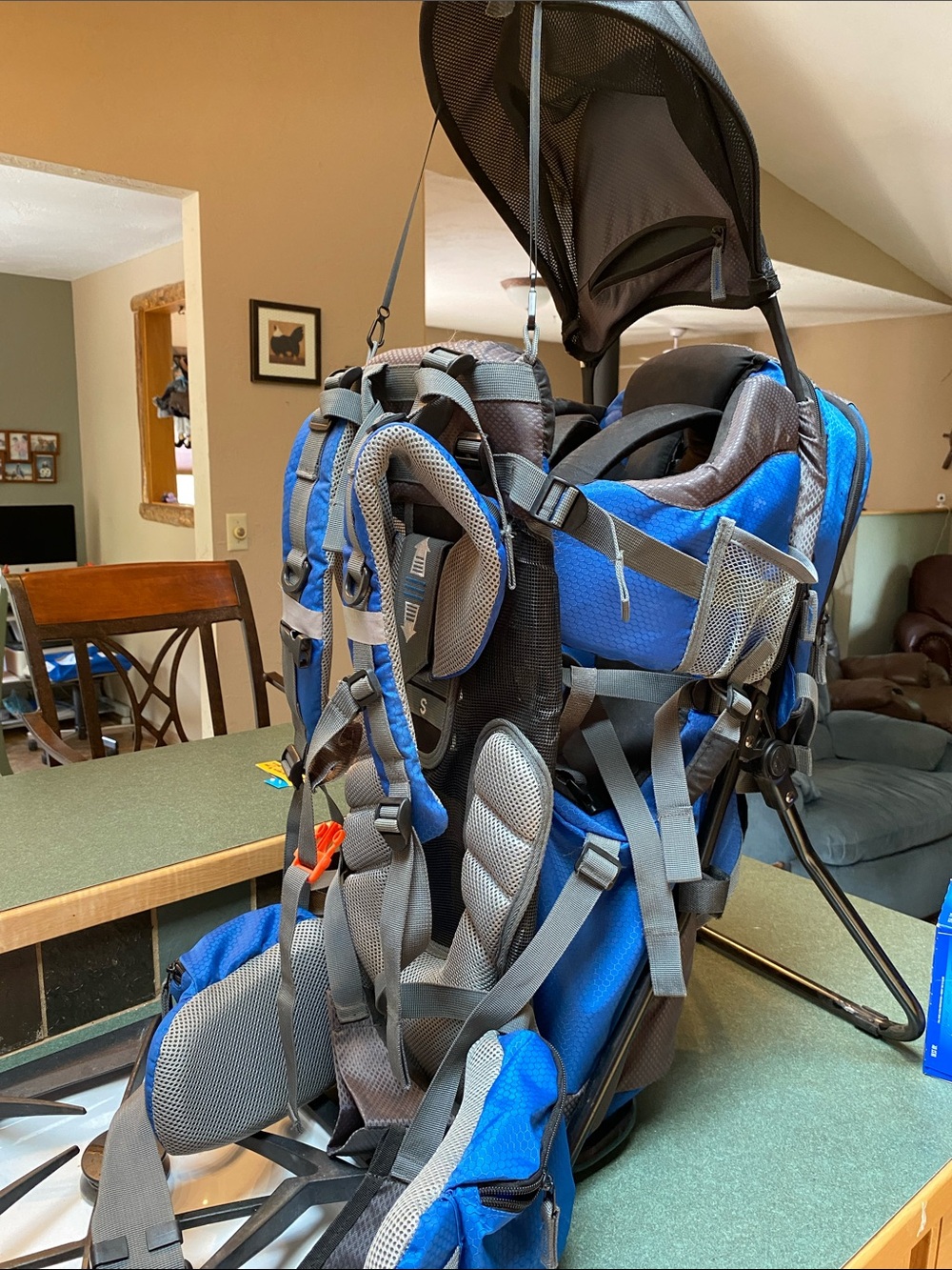 Adjustable Blue and Gray Kids' Hiking Carrier Backpack